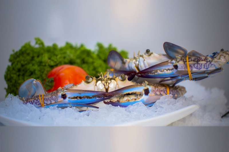 Whole Swimming Crab